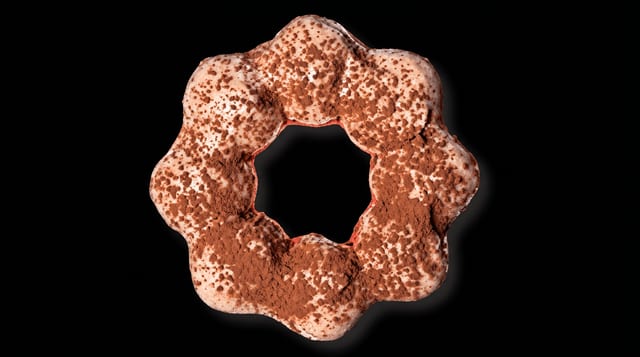 Tiramisu.